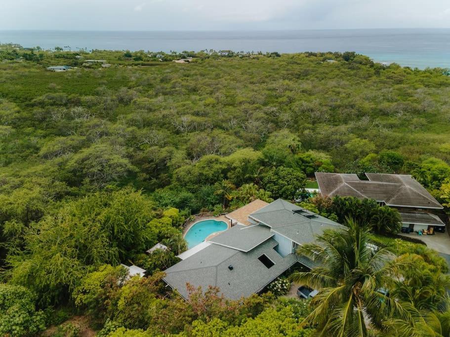 The Pohaku Studio At The Koi House Kailua-Kona Bagian luar foto